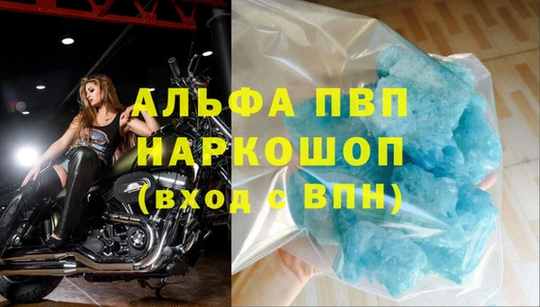 спиды Надым