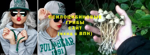 спиды Надым
