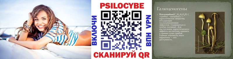 Псилоцибиновые грибы прущие грибы  Фёдоровский 